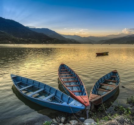 Boats on fewa lake in pokhara nepal