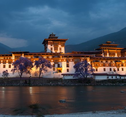 punakha-dzong-bhutan-7